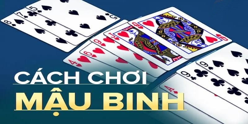 Quy trình cá cược mậu binh online SHBET siêu dễ